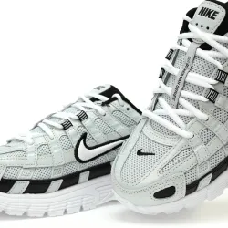 نایک پی ۶۰۰۰